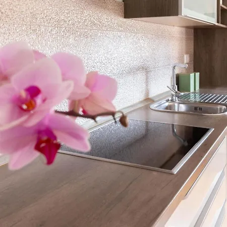 Moderne In Privlaka Mit Terrasse, Grill Und Garten פריבלאקה
